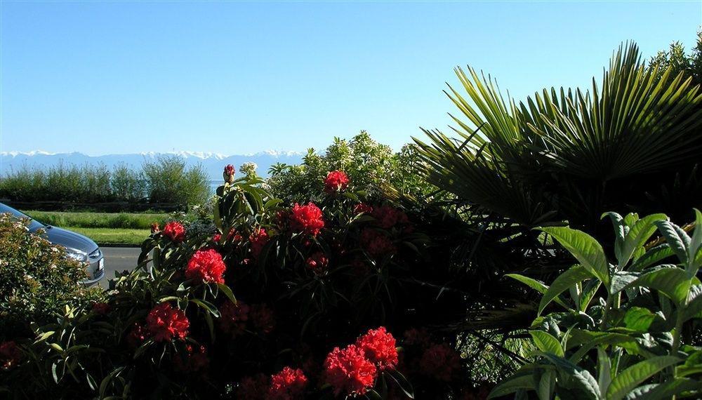 Dashwood Manor Seaside Bed & Breakfast Bed & Breakfast Victoria